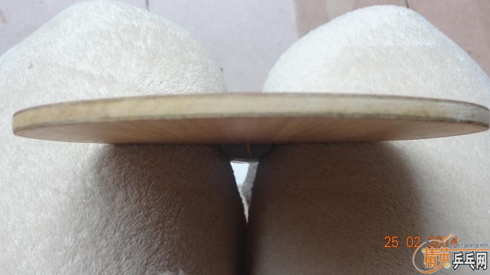 �ó�ɫ�� ����̼ YSC ~