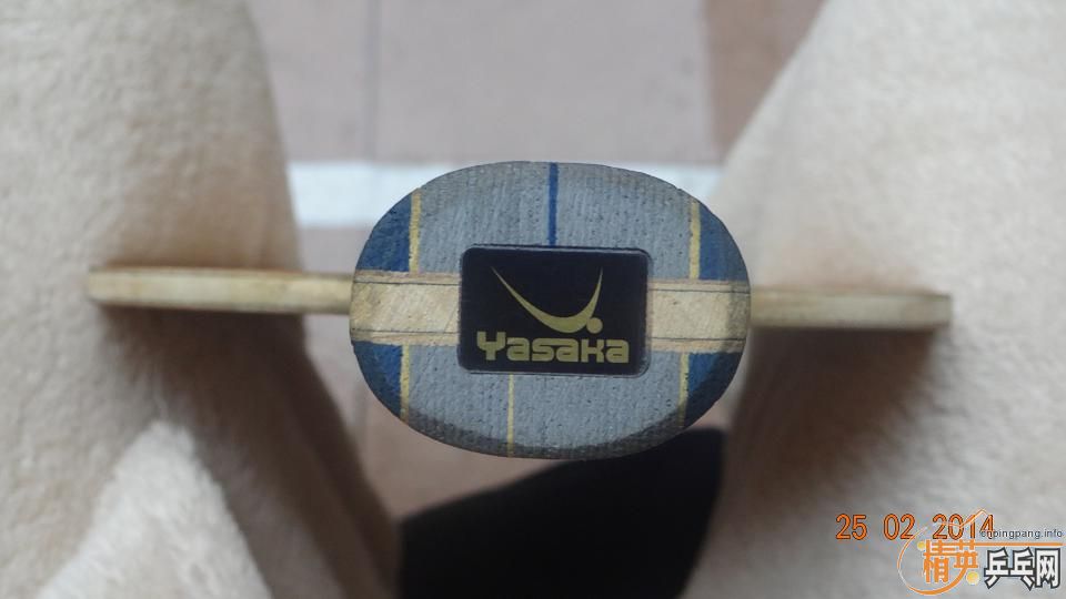 �ó�ɫ�� ����̼ YSC ~