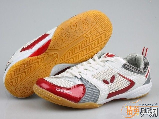 ButterflyASICS or MIZUNO 