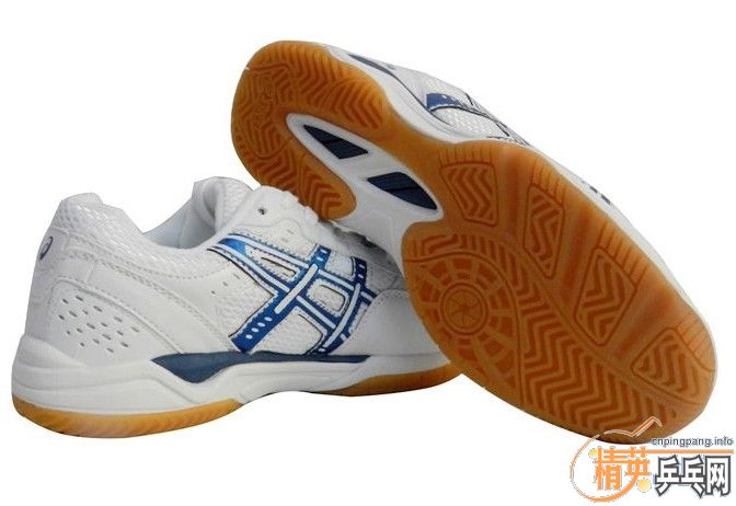 ButterflyASICS or MIZUNO 