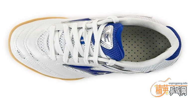 ButterflyASICS or MIZUNO 