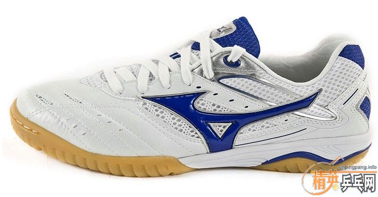 ButterflyASICS or MIZUNO 
