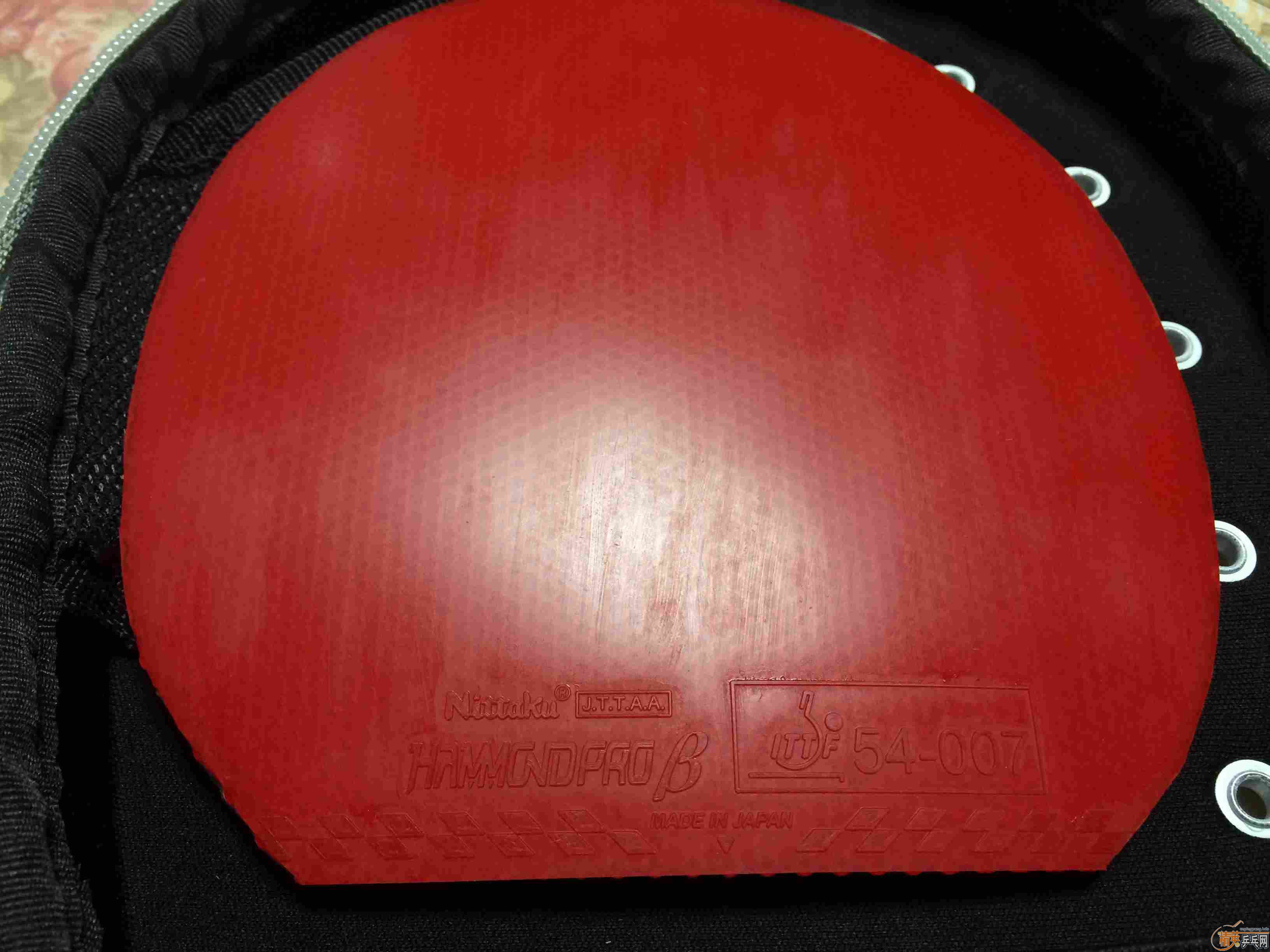 [ԭ��]�ͼ۳����ɵ¦£�������