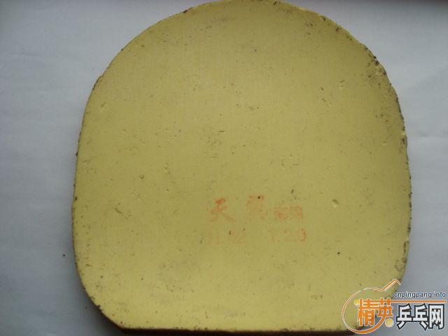 [ԭ��]�����ó�ϸ�����������ɻ�ϸ�����7.6(�����)