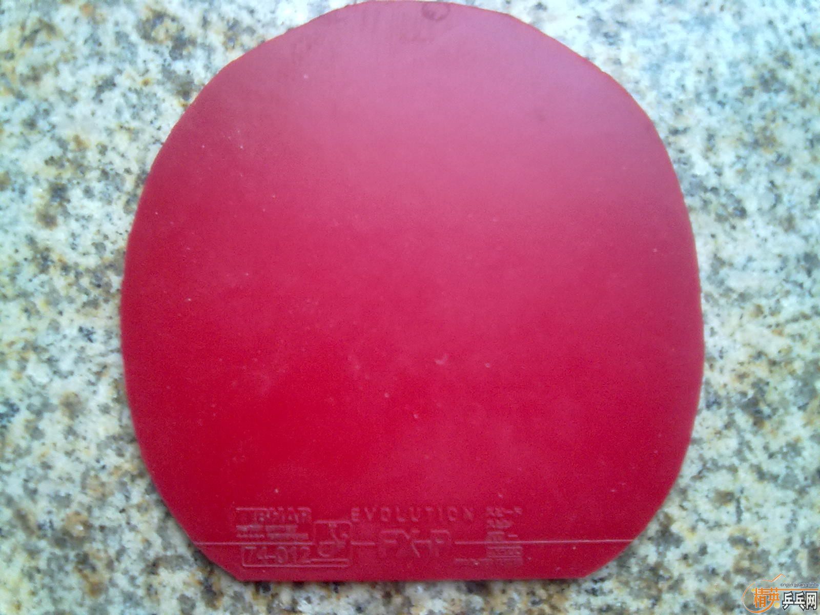 ��õ��5  ���켫3 ͦ��FXP