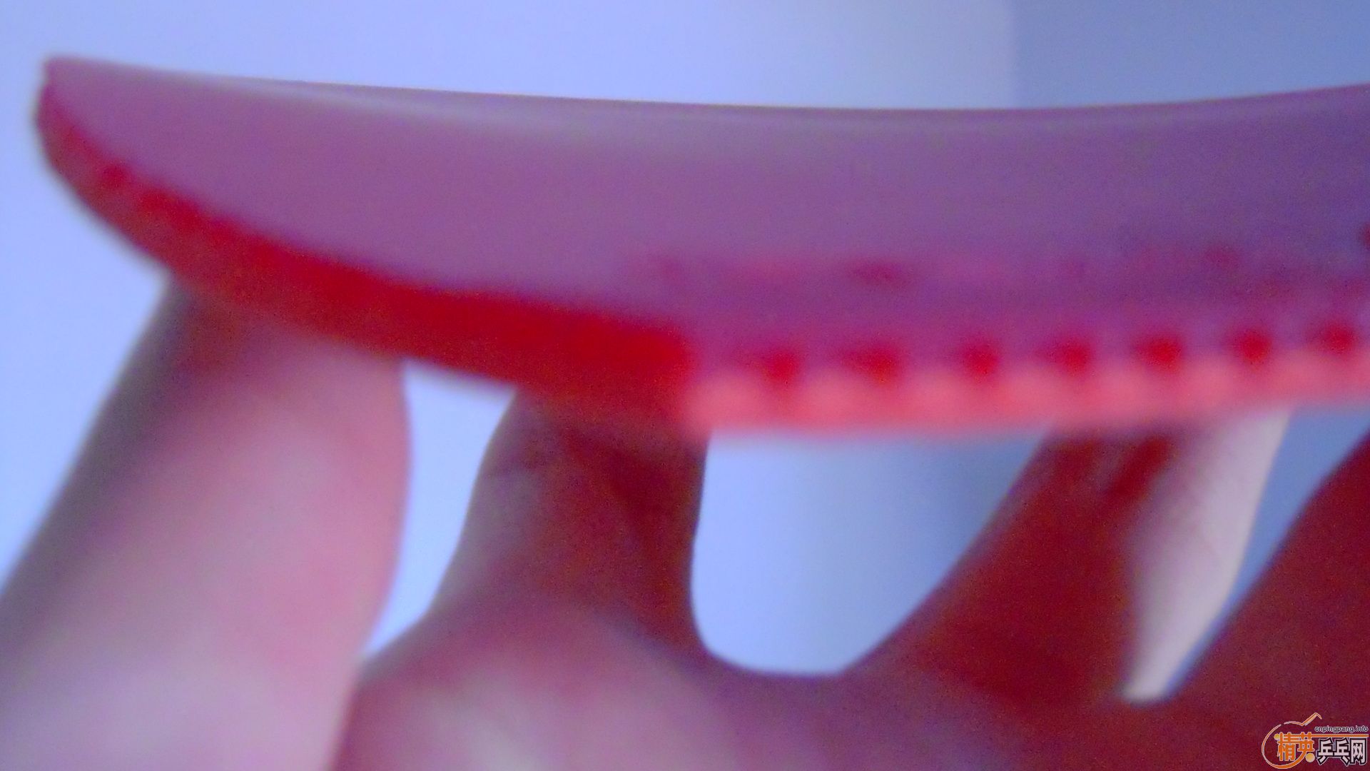 �������к���T05��ɫ2.1��260���ʣ��������飡