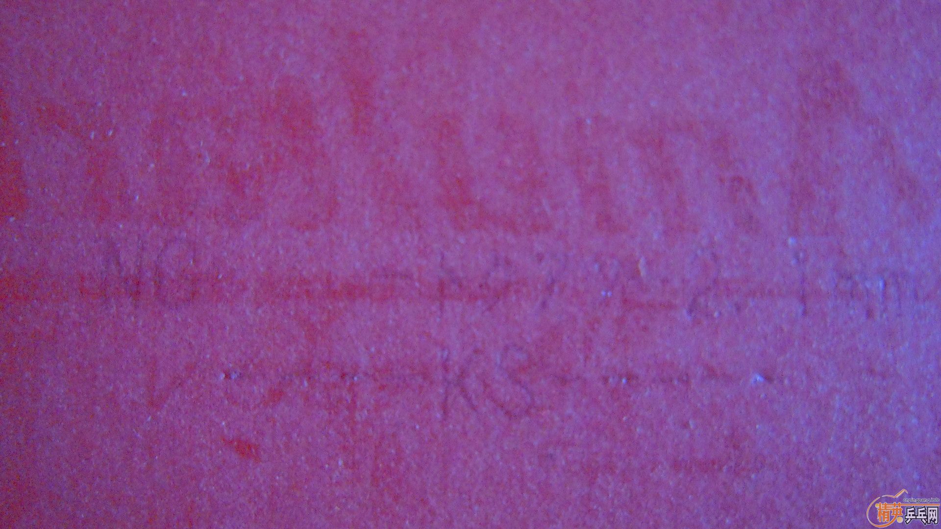 �������к���T05��ɫ2.1��260���ʣ��������飡