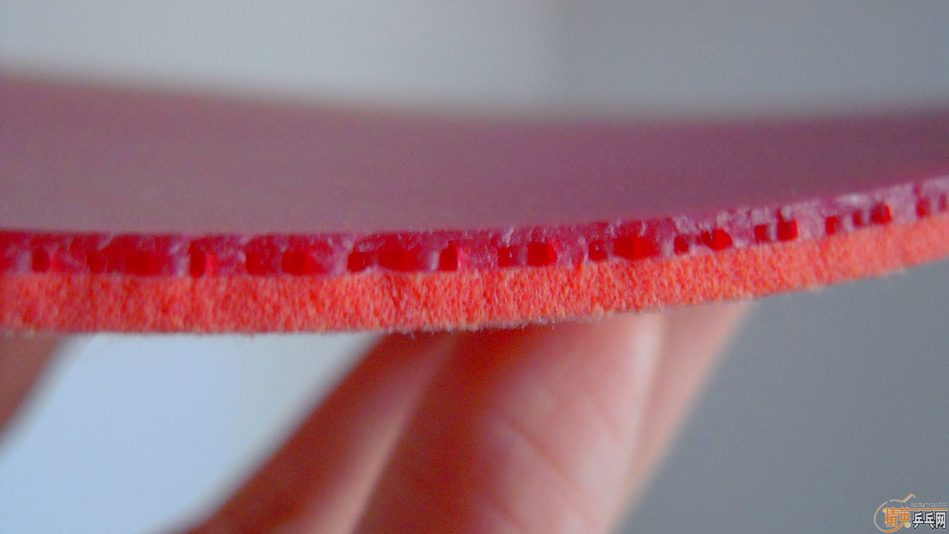 �������к���T05��ɫ2.1��260���ʣ��������飡