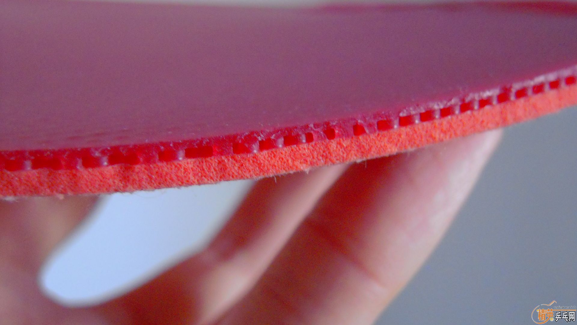 �������к���T05��ɫ2.1��260���ʣ��������飡