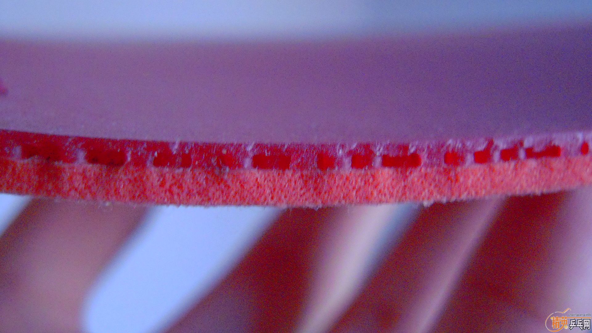 �������к���T05��ɫ2.1��260���ʣ��������飡