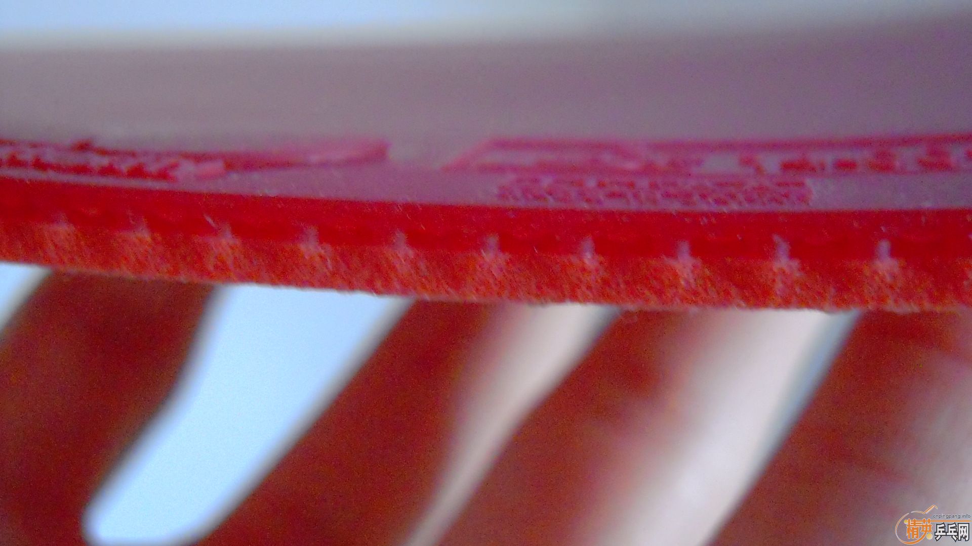 �������к���T05��ɫ2.1��260���ʣ��������飡