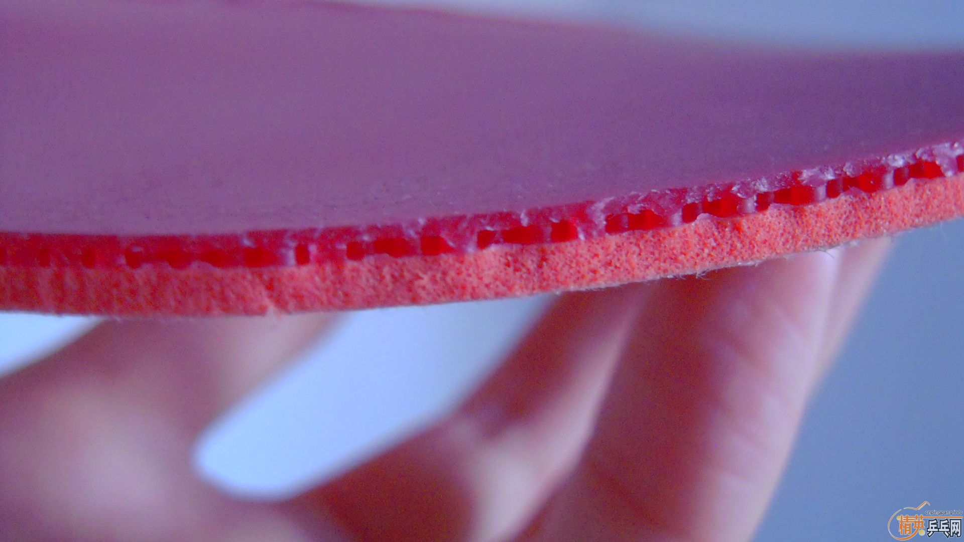 �������к���T05��ɫ2.1��260���ʣ��������飡