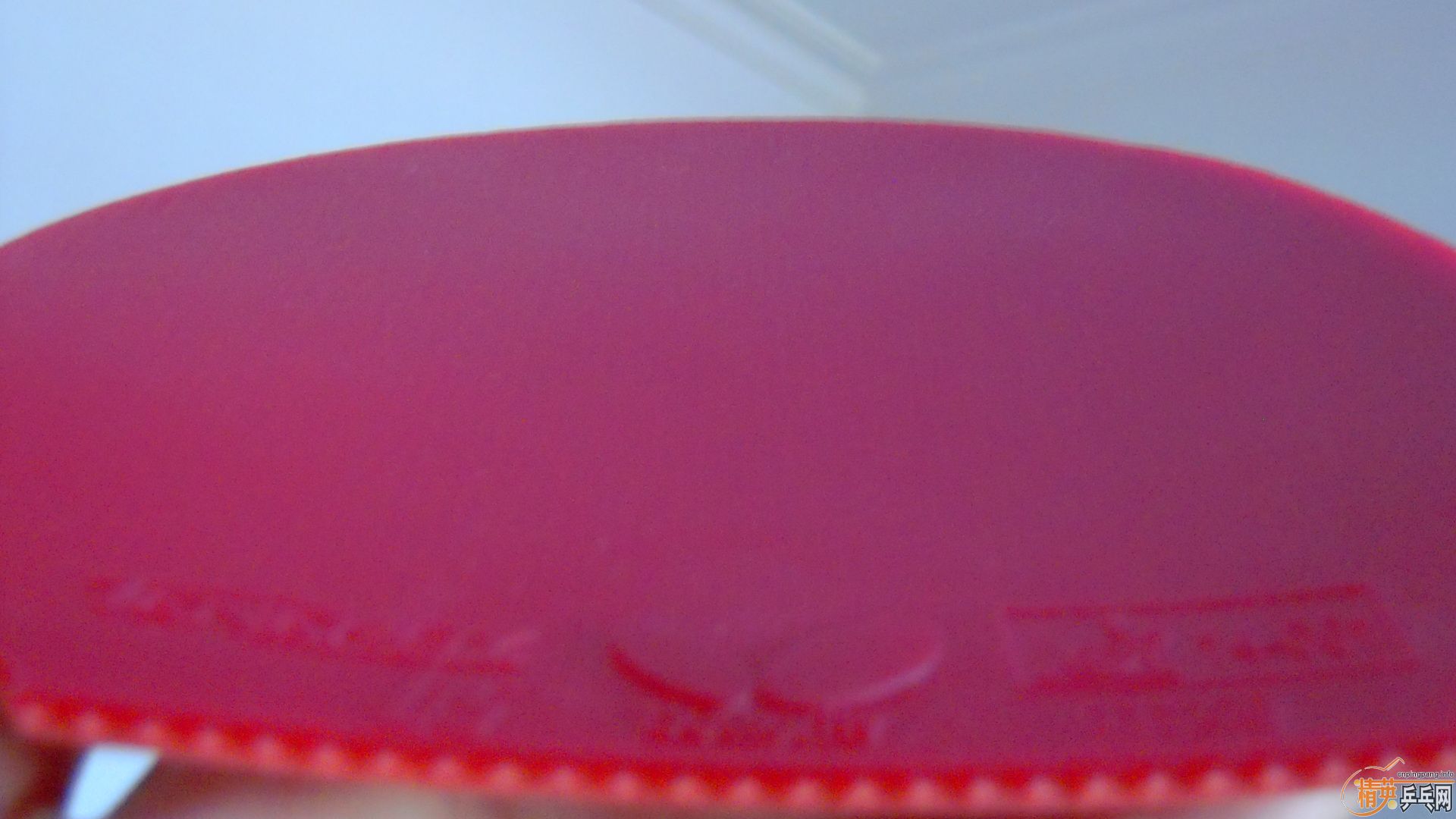 �������к���T05��ɫ2.1��260���ʣ��������飡