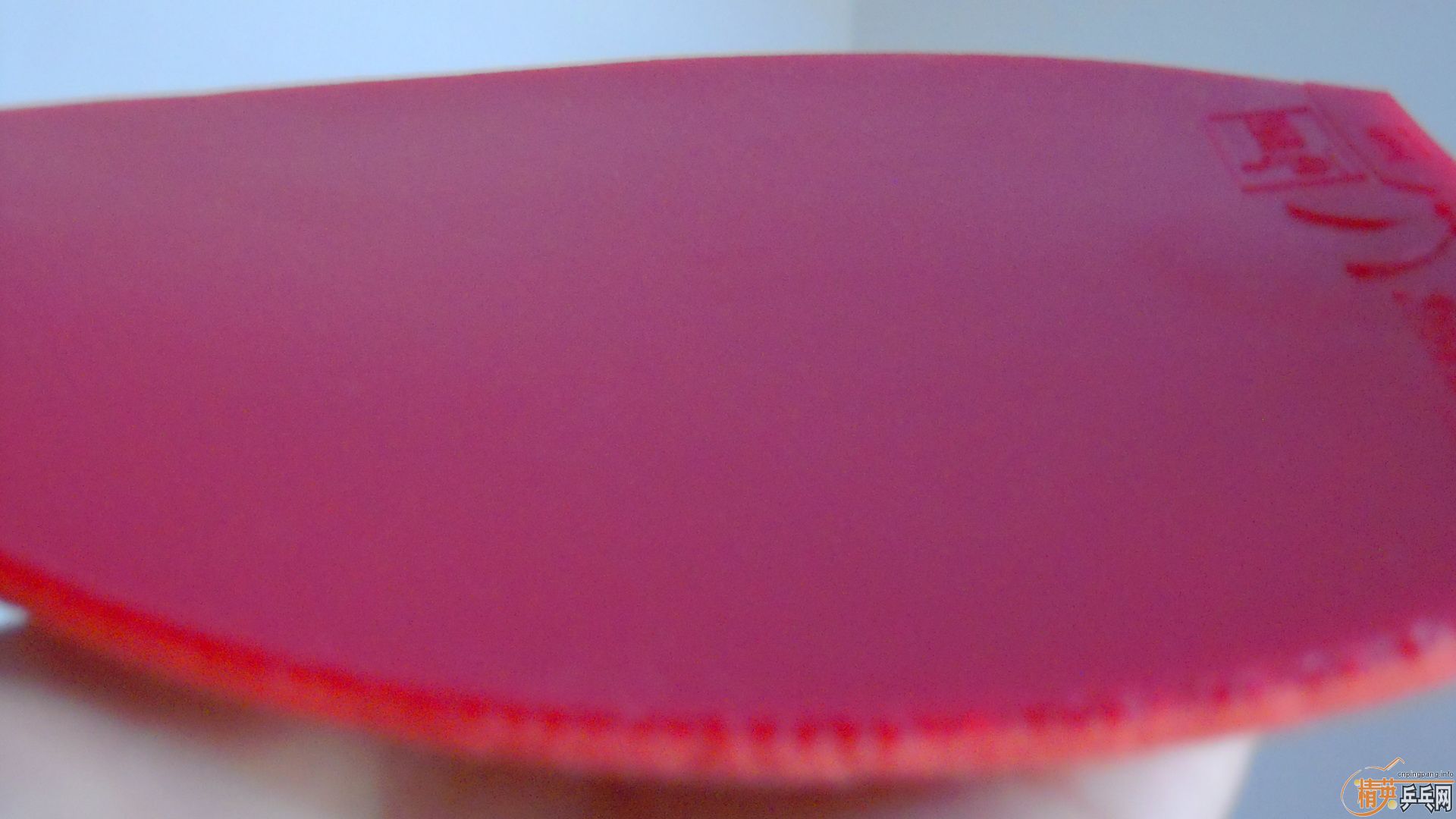 �������к���T05��ɫ2.1��260���ʣ��������飡