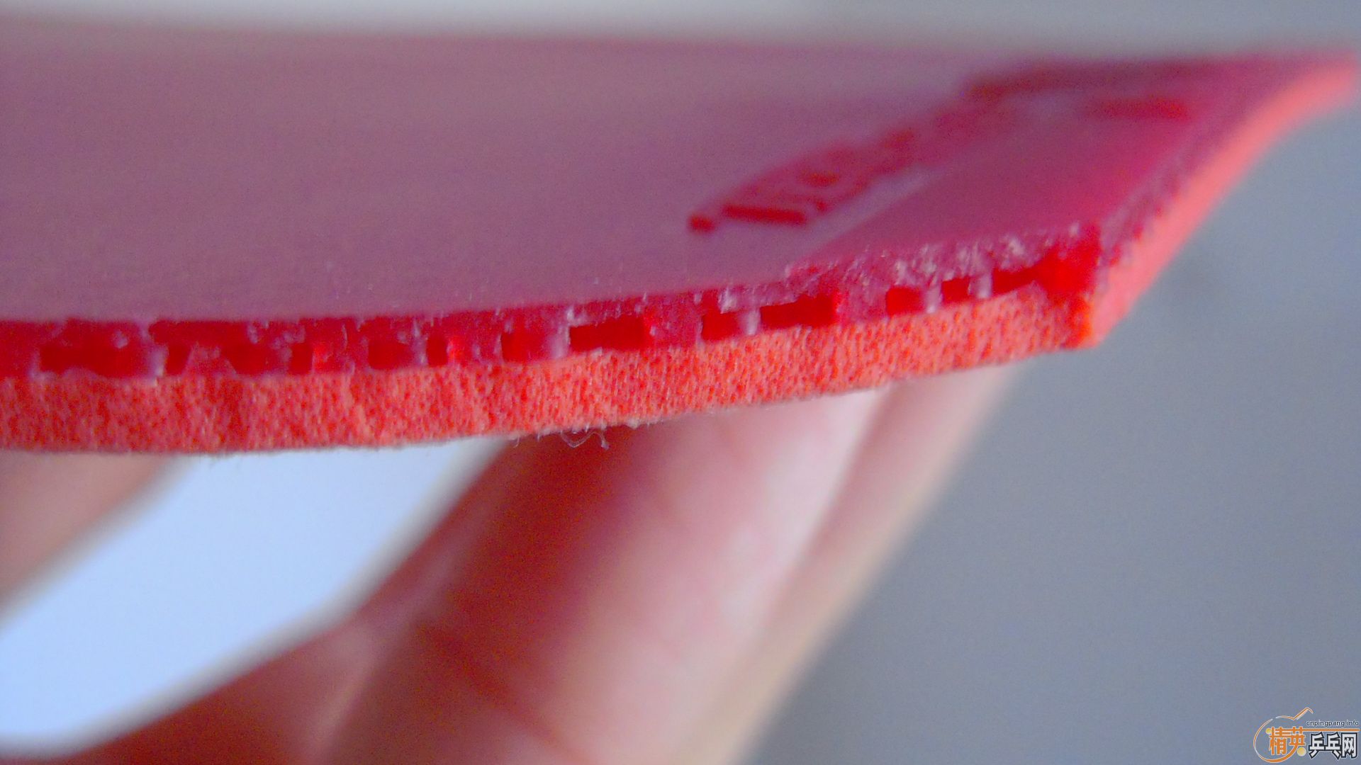 �������к���T05��ɫ2.1��260���ʣ��������飡