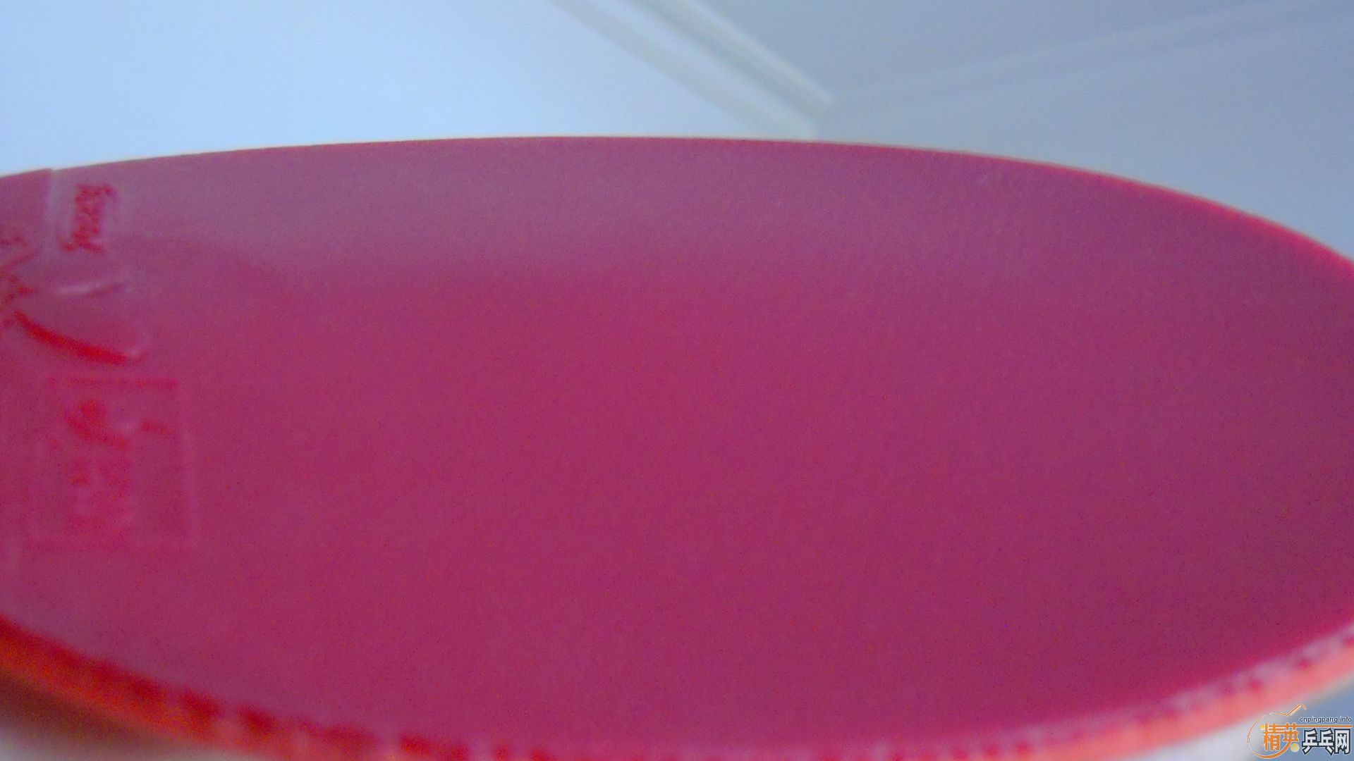 �������к���T05��ɫ2.1��260���ʣ��������飡