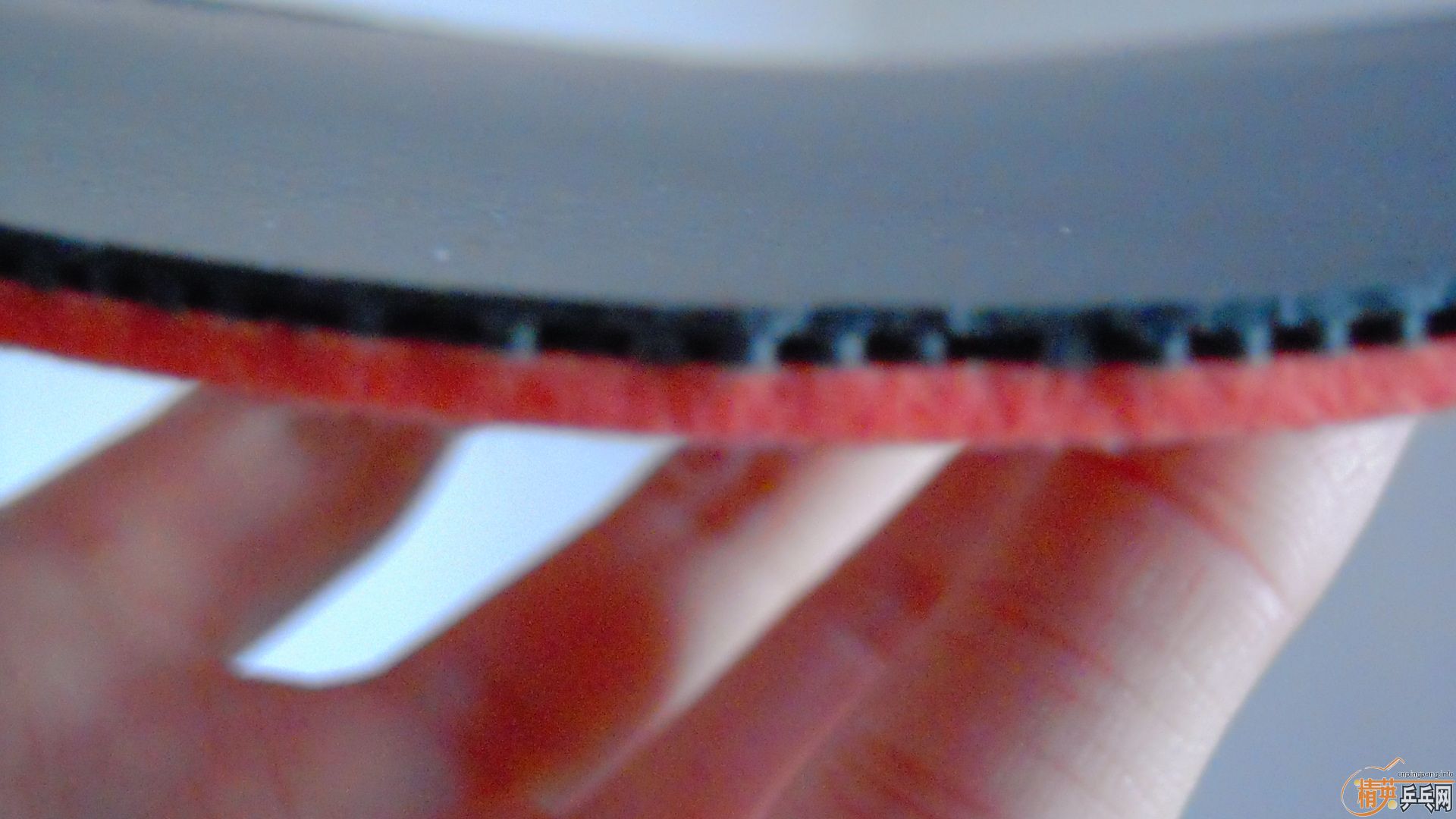 �������к���T64����ɫ2.1��260���ʣ��������飡