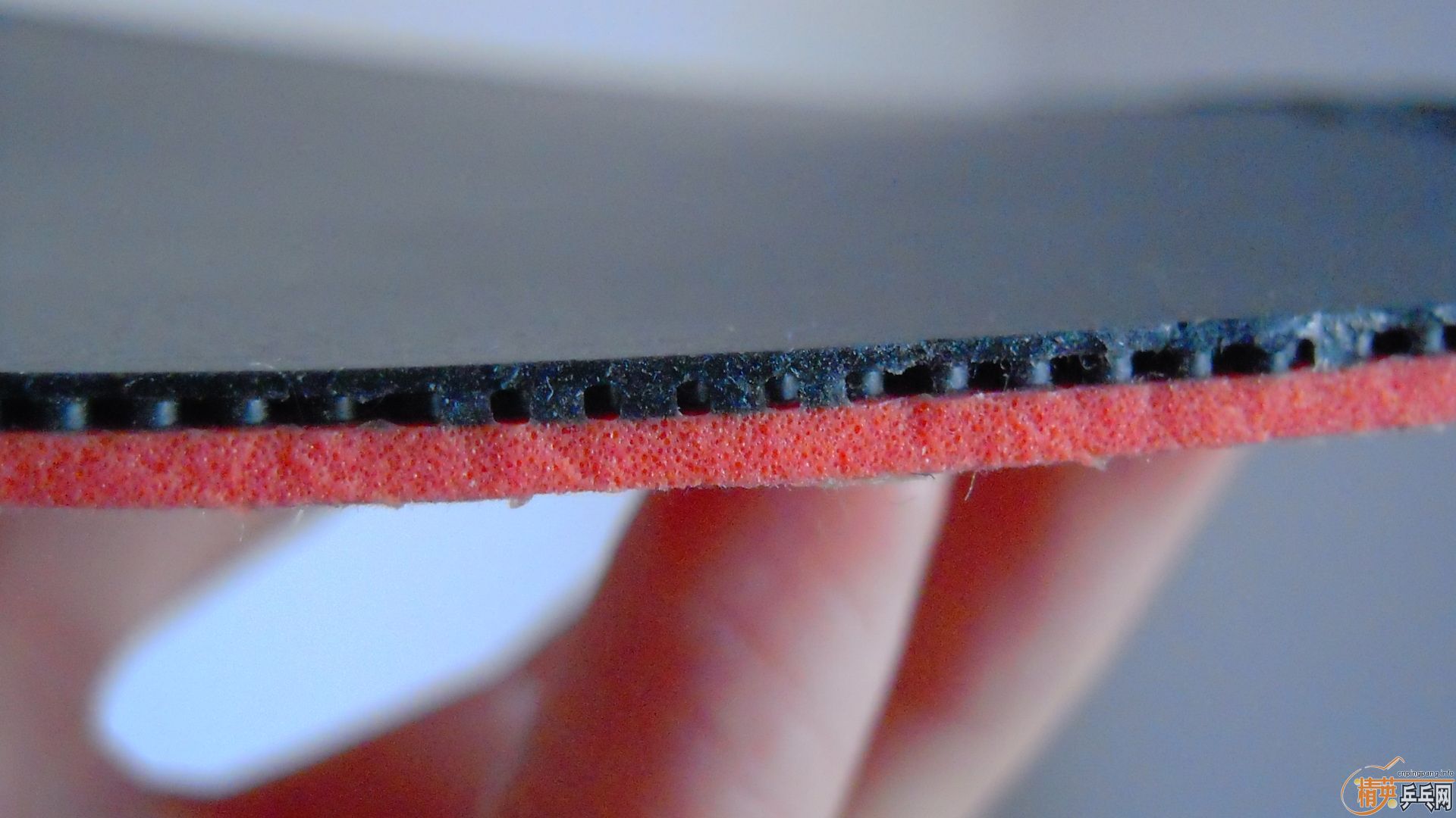 �������к���T64����ɫ2.1��260���ʣ��������飡