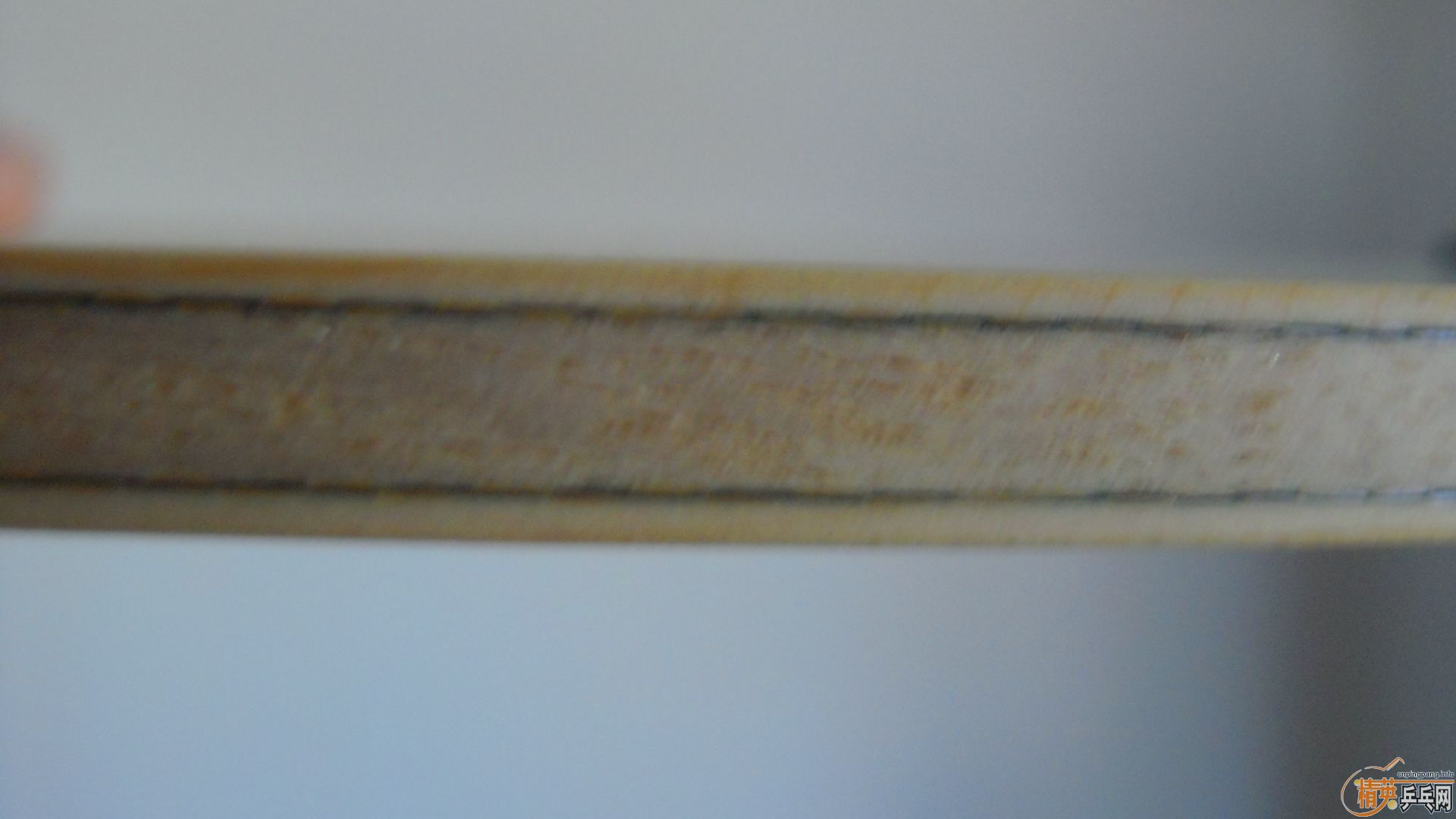 �������к���AMULTART��FL��87�ˣ�1198���ʣ��������飡