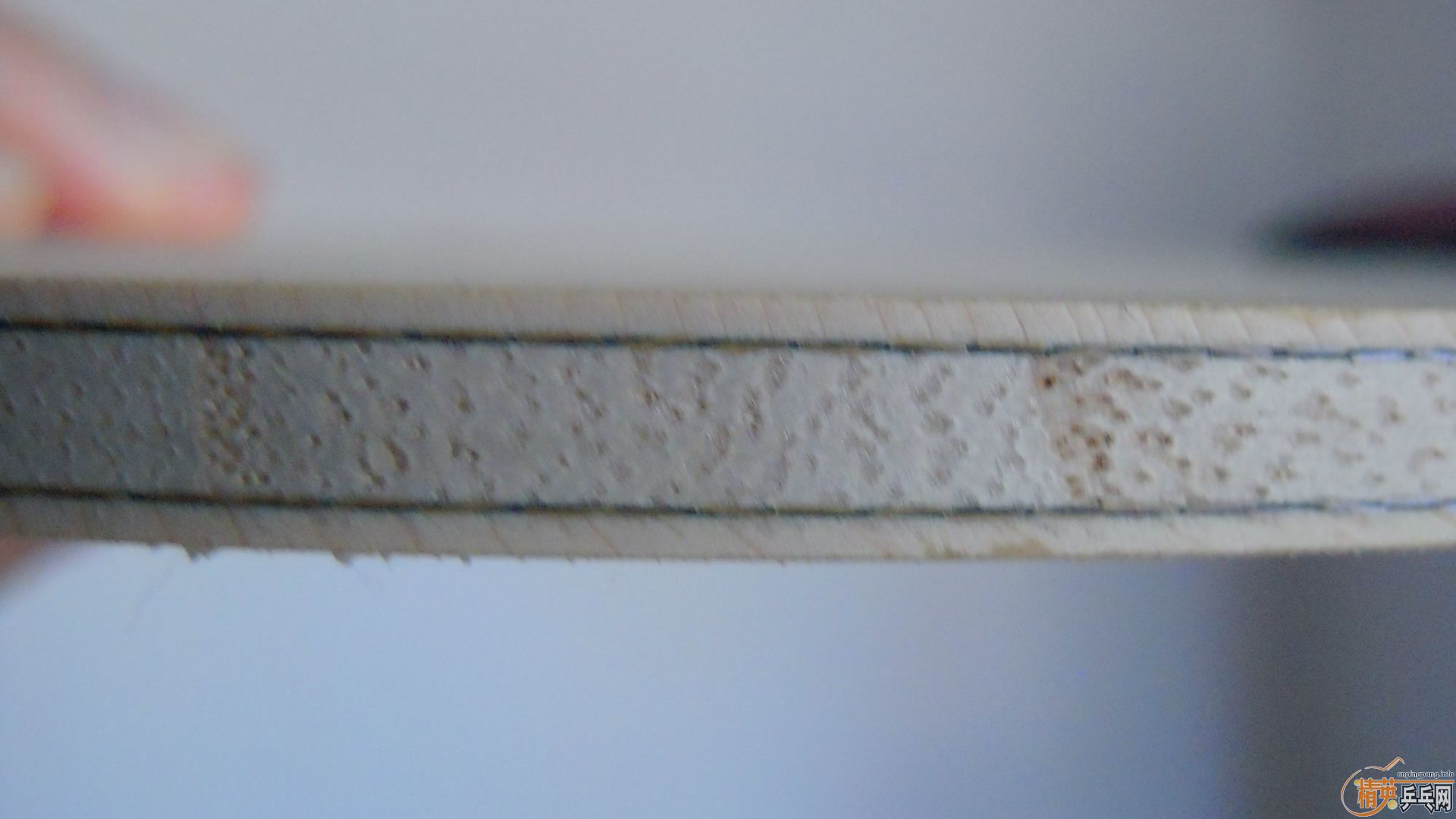 �������к���AMULTART��FL��87�ˣ�1198���ʣ��������飡