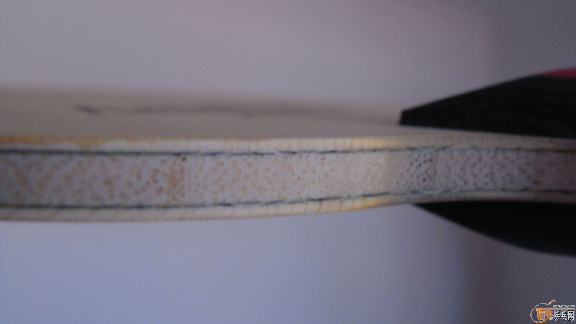 �������к���AMULTART��FL��87�ˣ�1198���ʣ��������飡