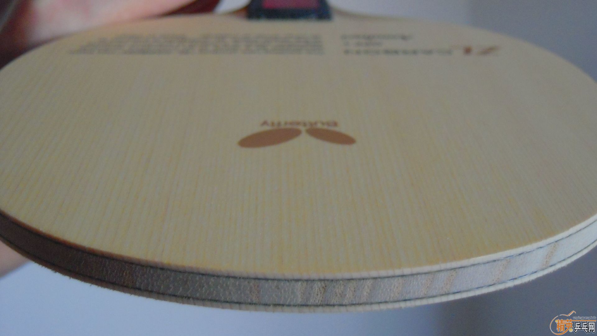 �������к���AMULTART��FL��87�ˣ�1198���ʣ��������飡