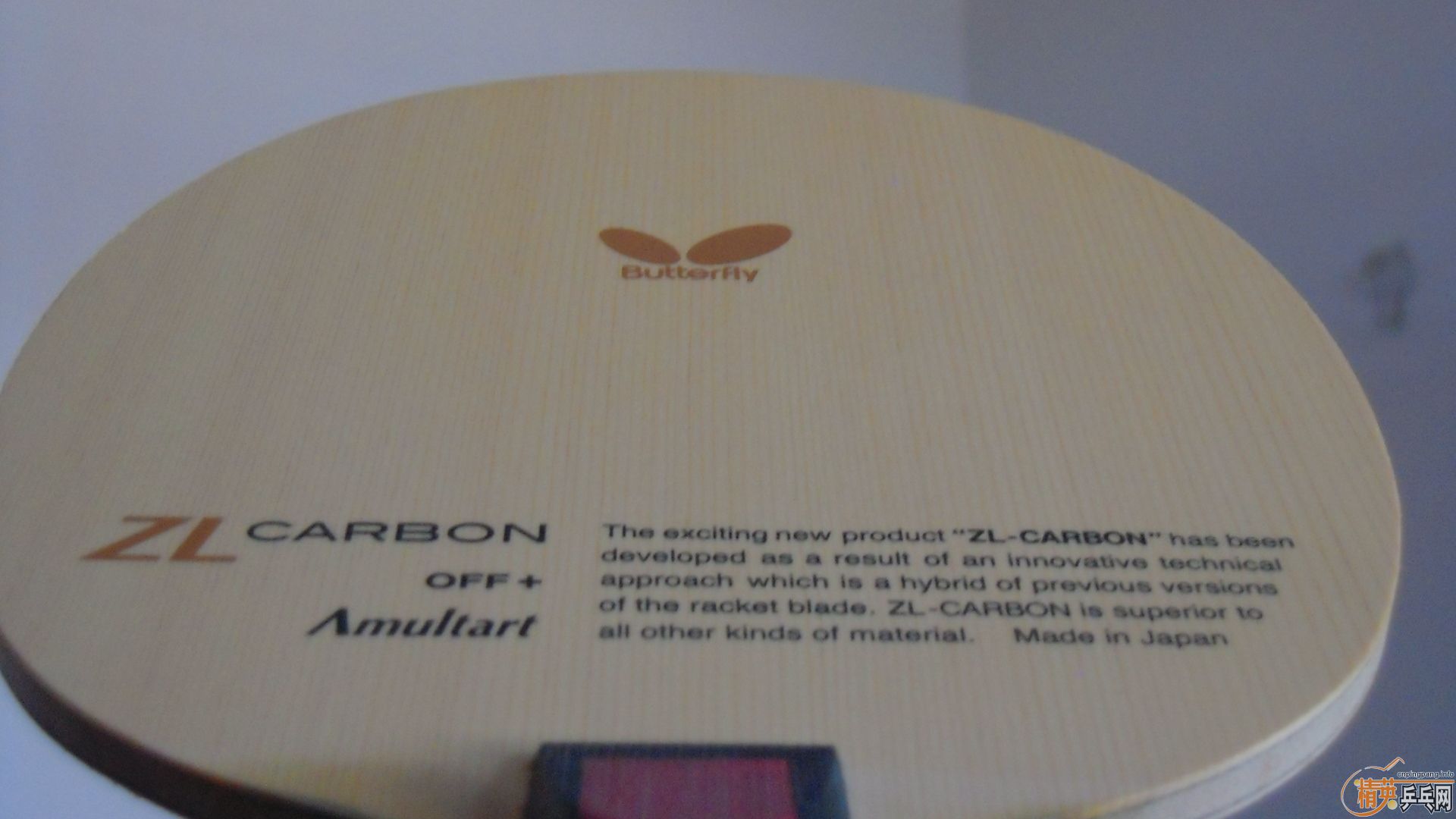 �������к���AMULTART��FL��87�ˣ�1198���ʣ��������飡