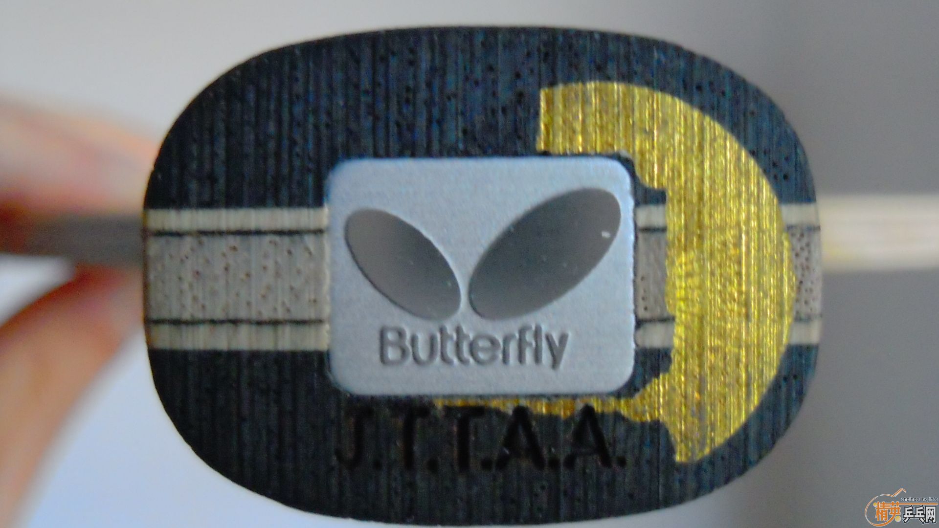 �������к���AMULTART��FL��87�ˣ�1198���ʣ��������飡