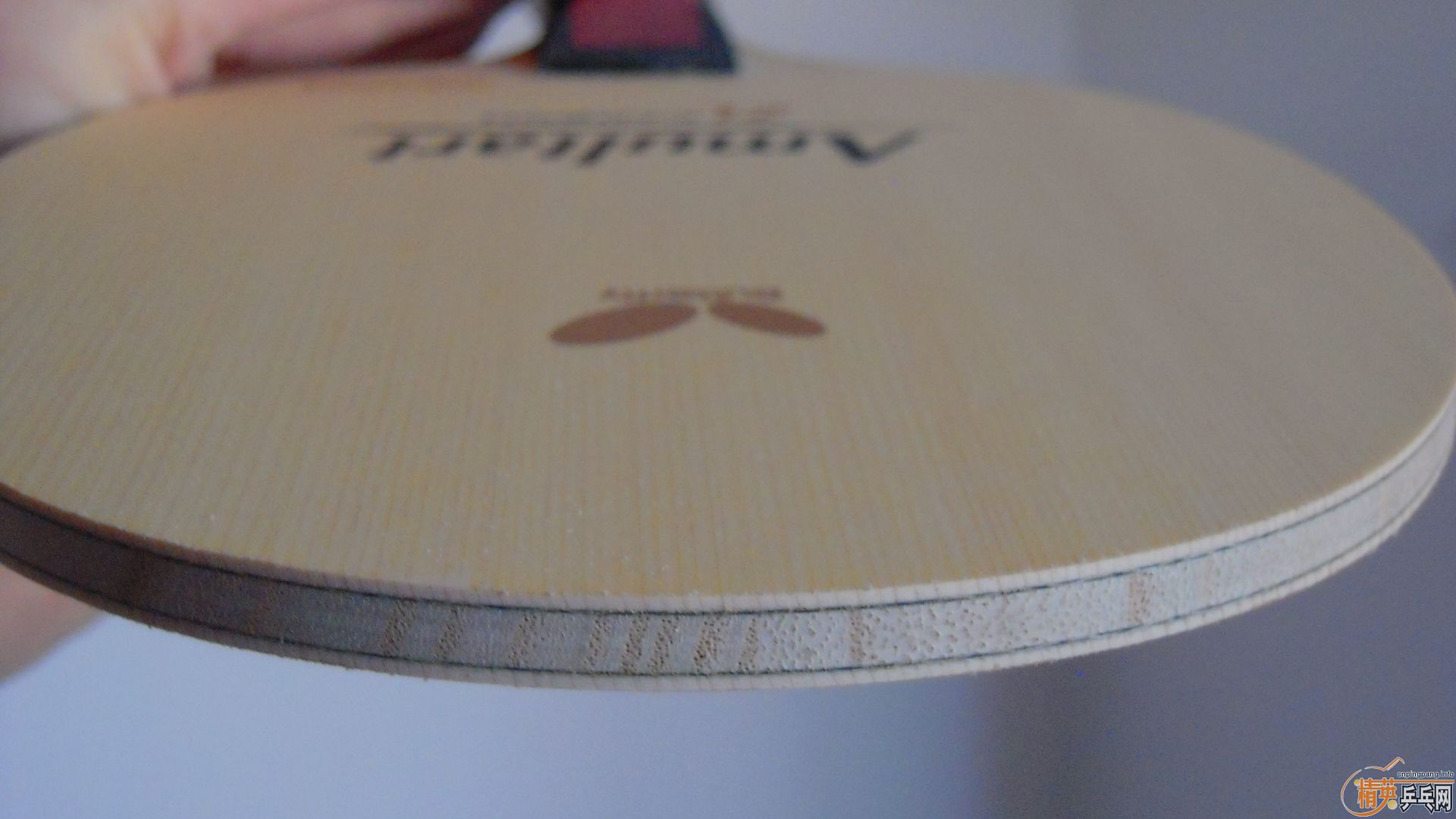 �������к���AMULTART��FL��87�ˣ�1198���ʣ��������飡