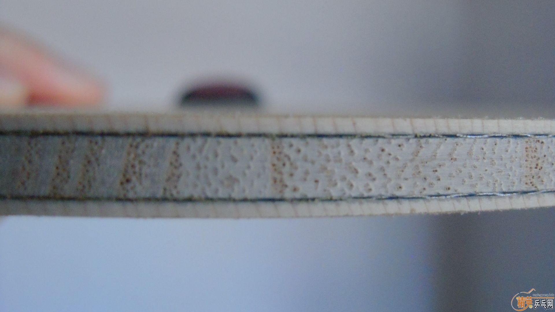 �������к���AMULTART��FL��87�ˣ�1198���ʣ��������飡