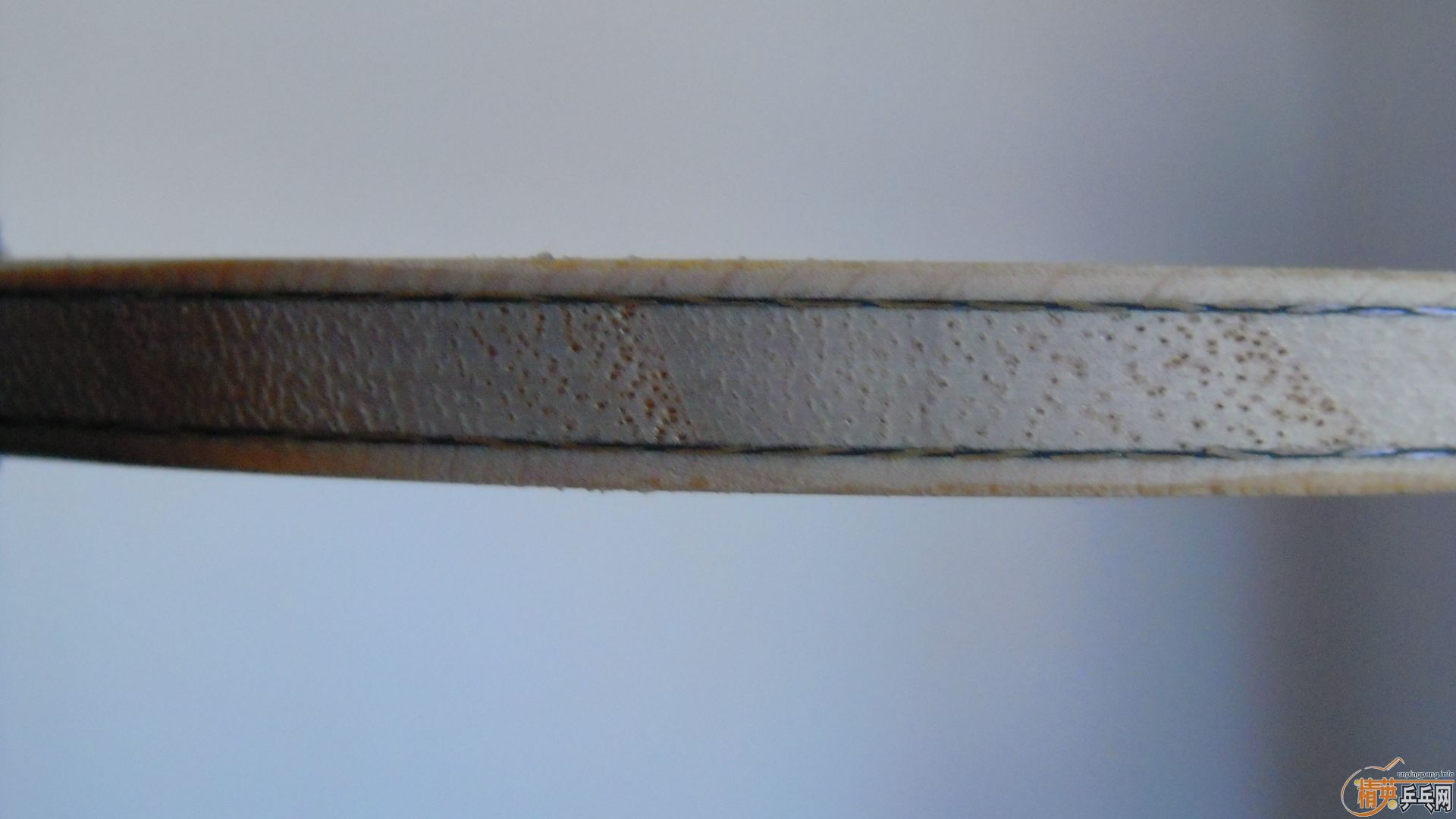 �������к���AMULTART��FL��87�ˣ�1198���ʣ��������飡