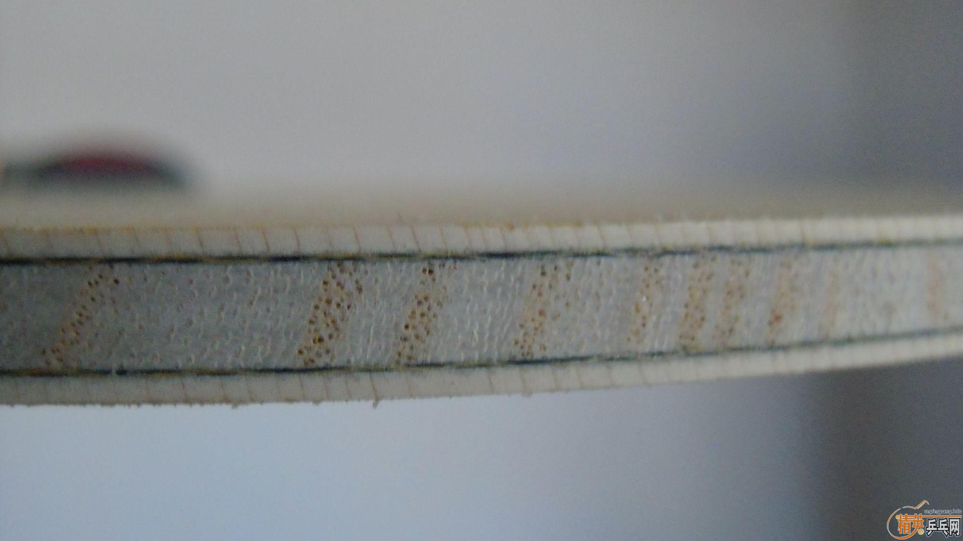 �������к���AMULTART��FL��87�ˣ�1198���ʣ��������飡