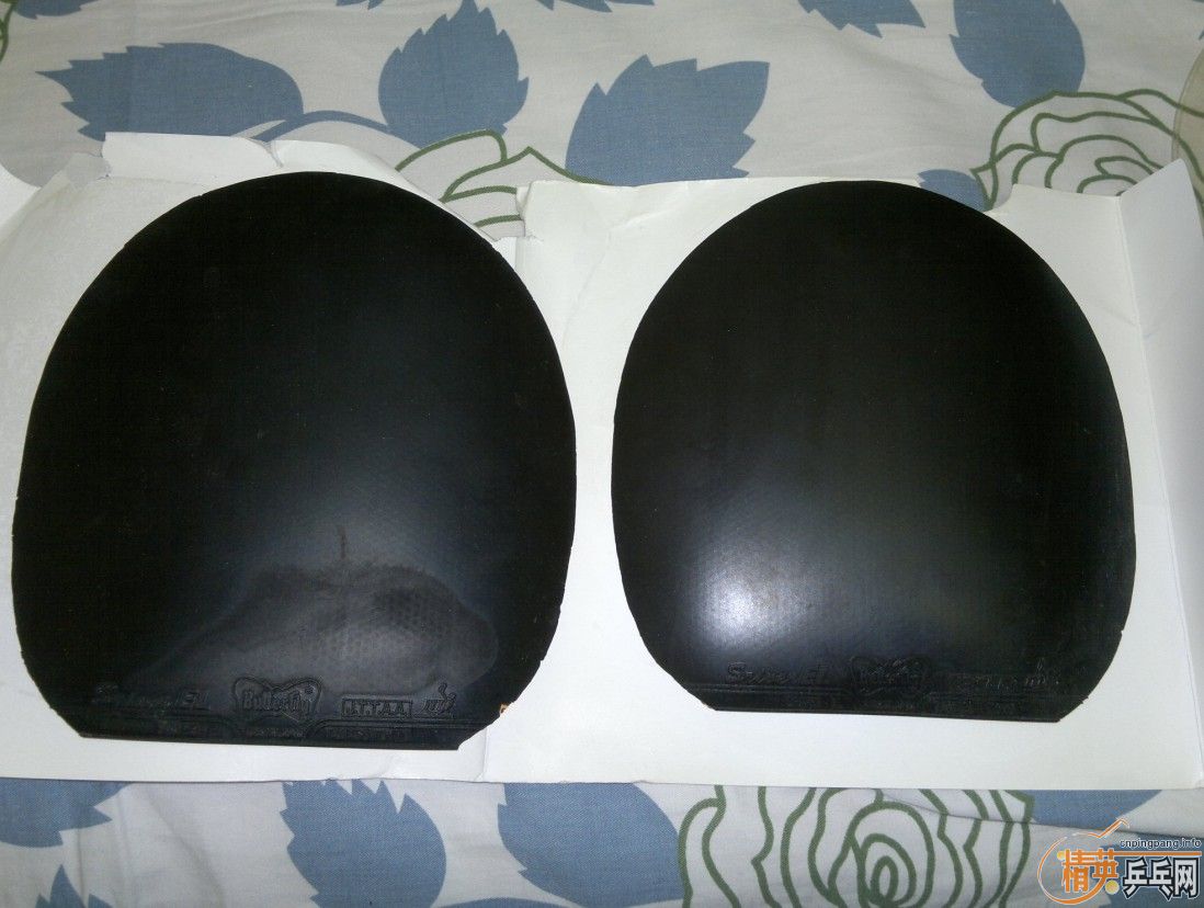 ���������SREIVE  EL