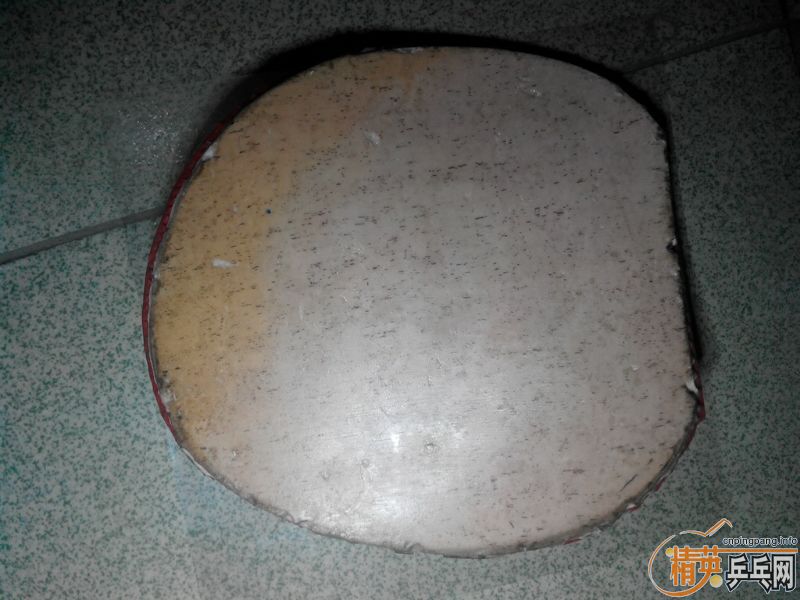 ��˹����l��el���й��ɵ±�����������zap����