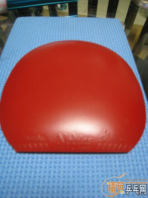 �������ɫ�ȽϺõĹ��ҶӶ�Ա�������׽�