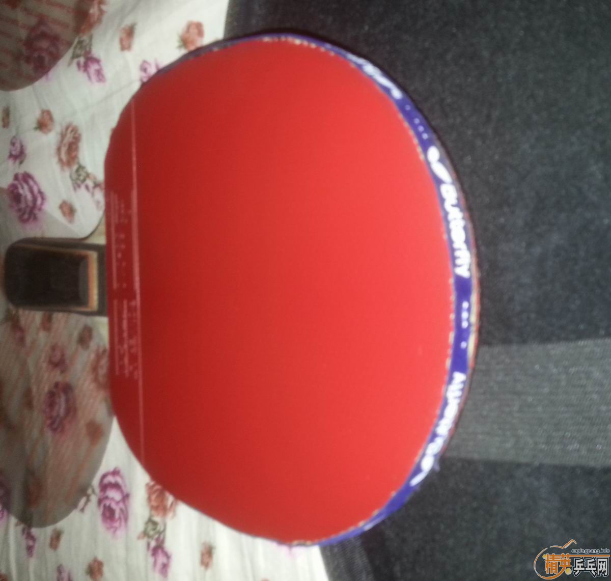 �ʺϺ���81��ŷ��CC7��ELP,˹�ٿ�POWER LT