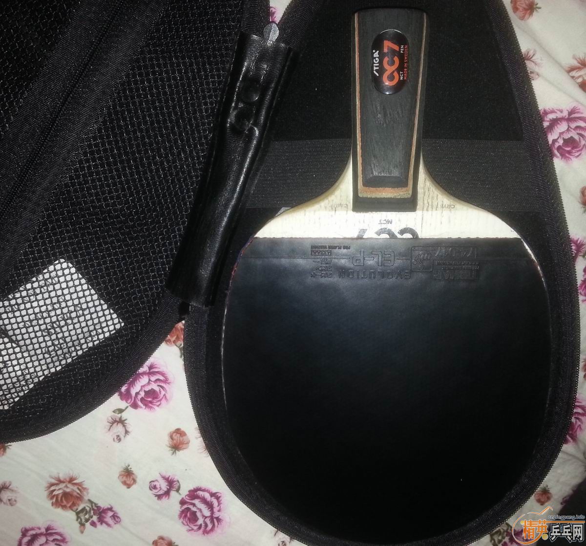 �ʺϺ���81��ŷ��CC7��ELP,˹�ٿ�POWER LT