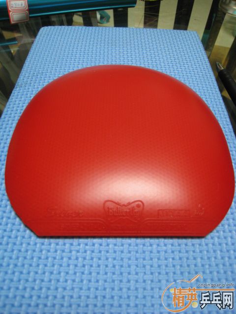 �������ɫ�ȽϺõĹ��ҶӶ�Ա�������׽�