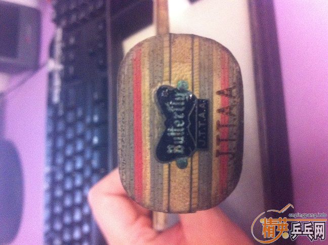 �� ������̼FL  390Ԫˬ��İ��ʣ�