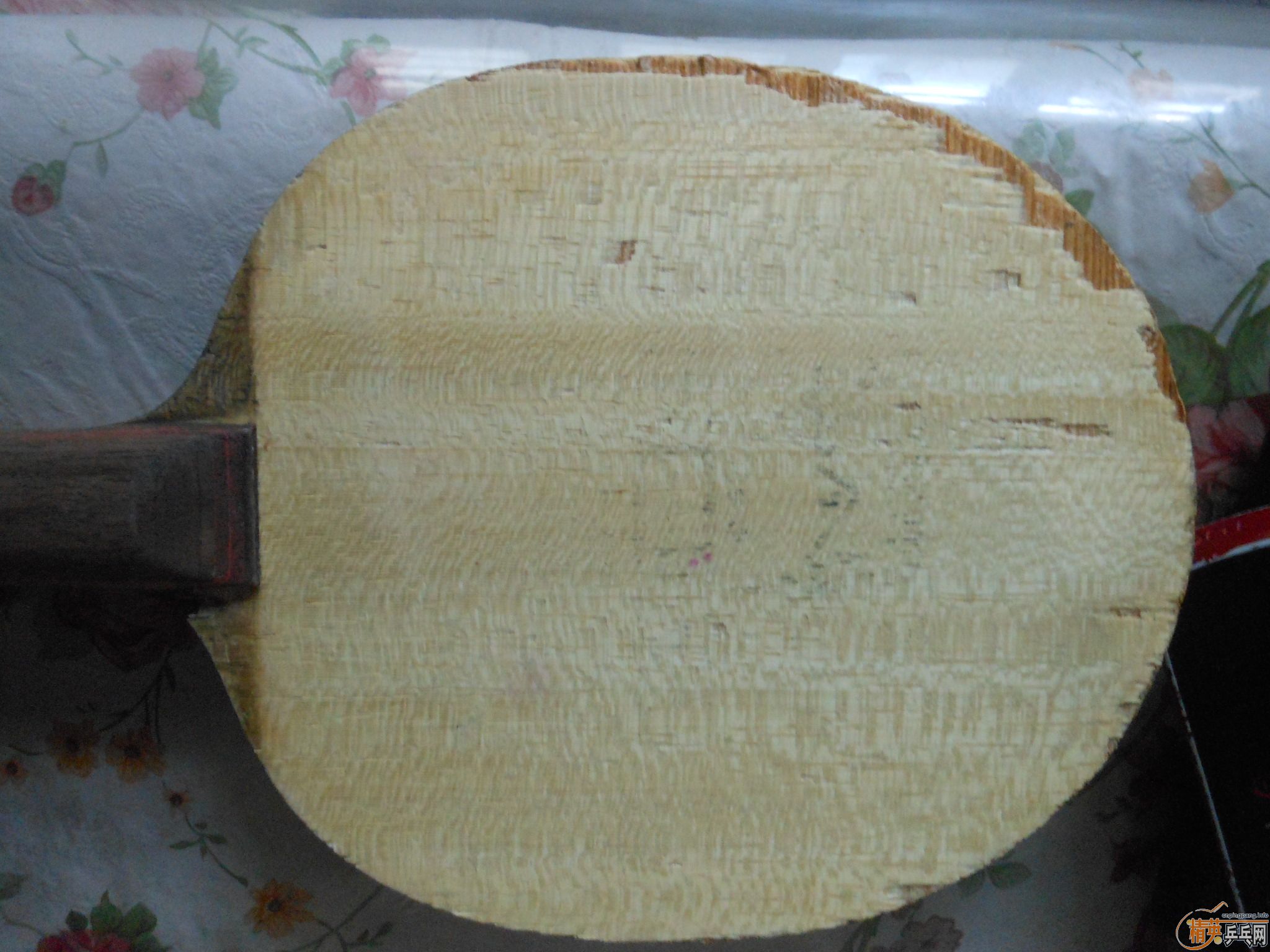 ����һ��95��M��Ŀ�ľFL