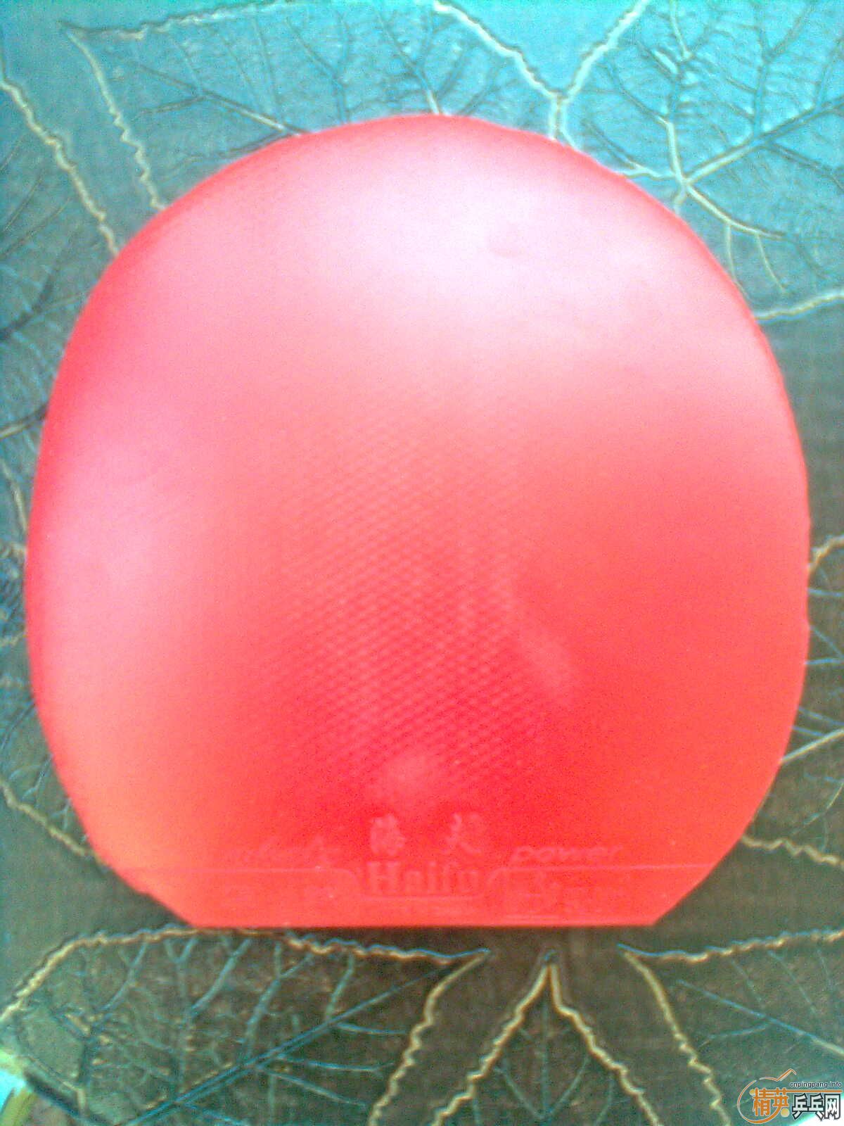 �������������HK1997�׽���9��������