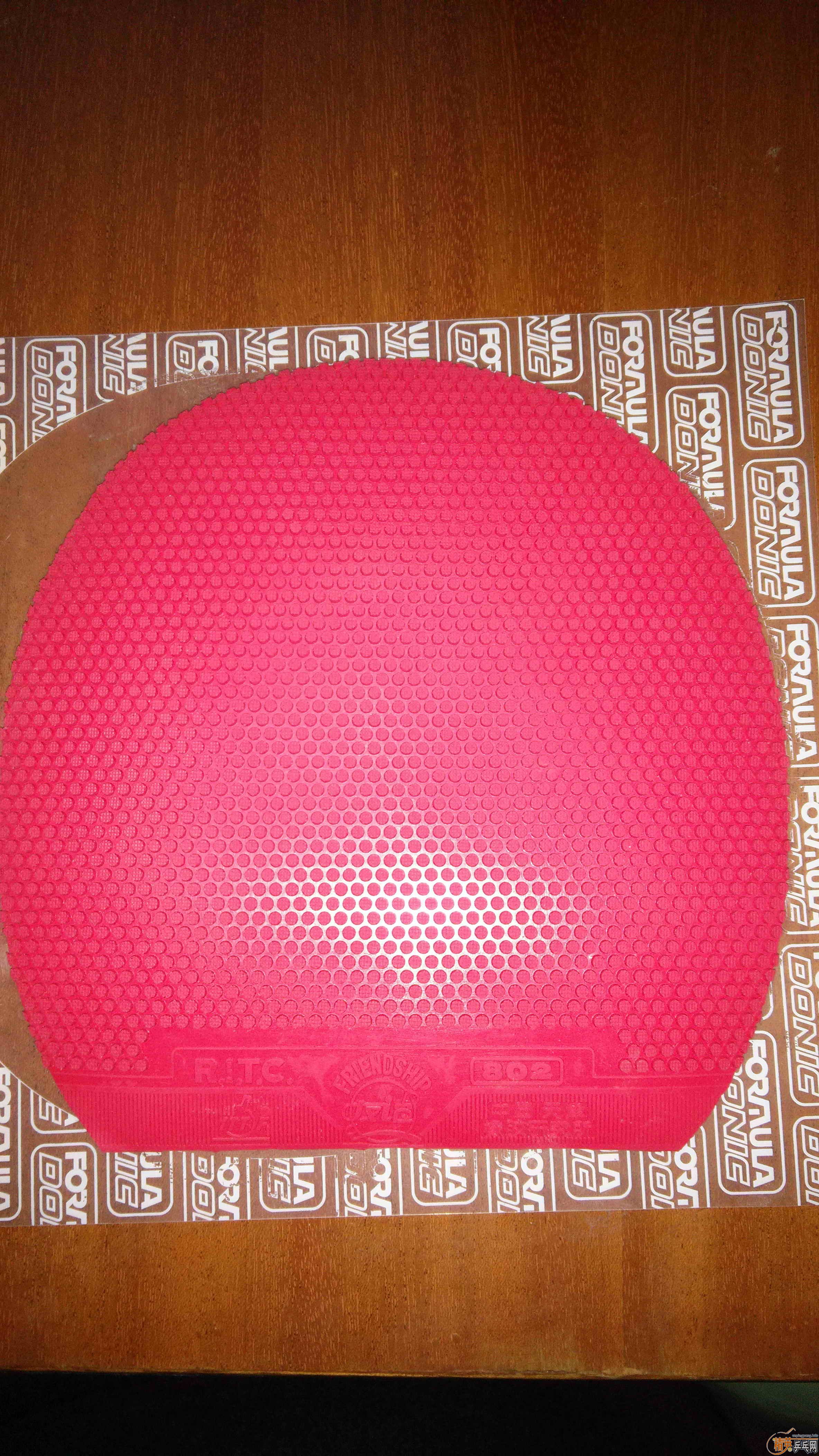 JOOLA�쳵���ٺ�