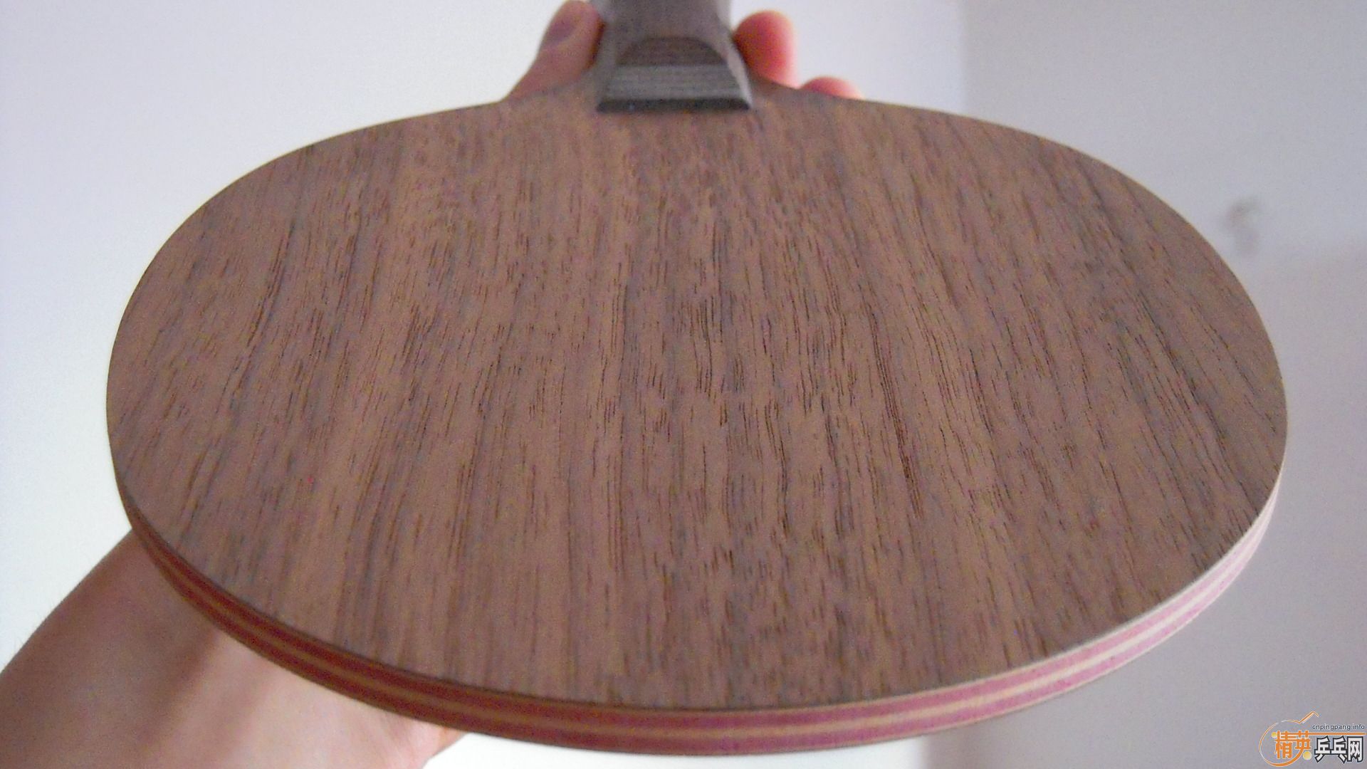 ����95�¹���������ڲ�����FL����96�ˣ�888���ʣ�