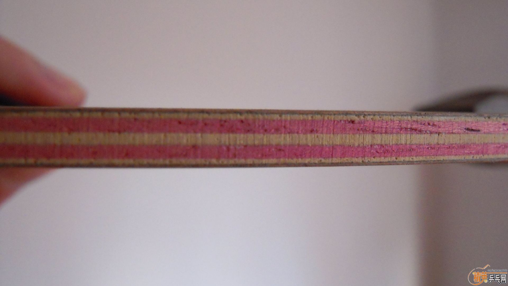 ����95�¹���������ڲ�����FL����96�ˣ�888���ʣ�