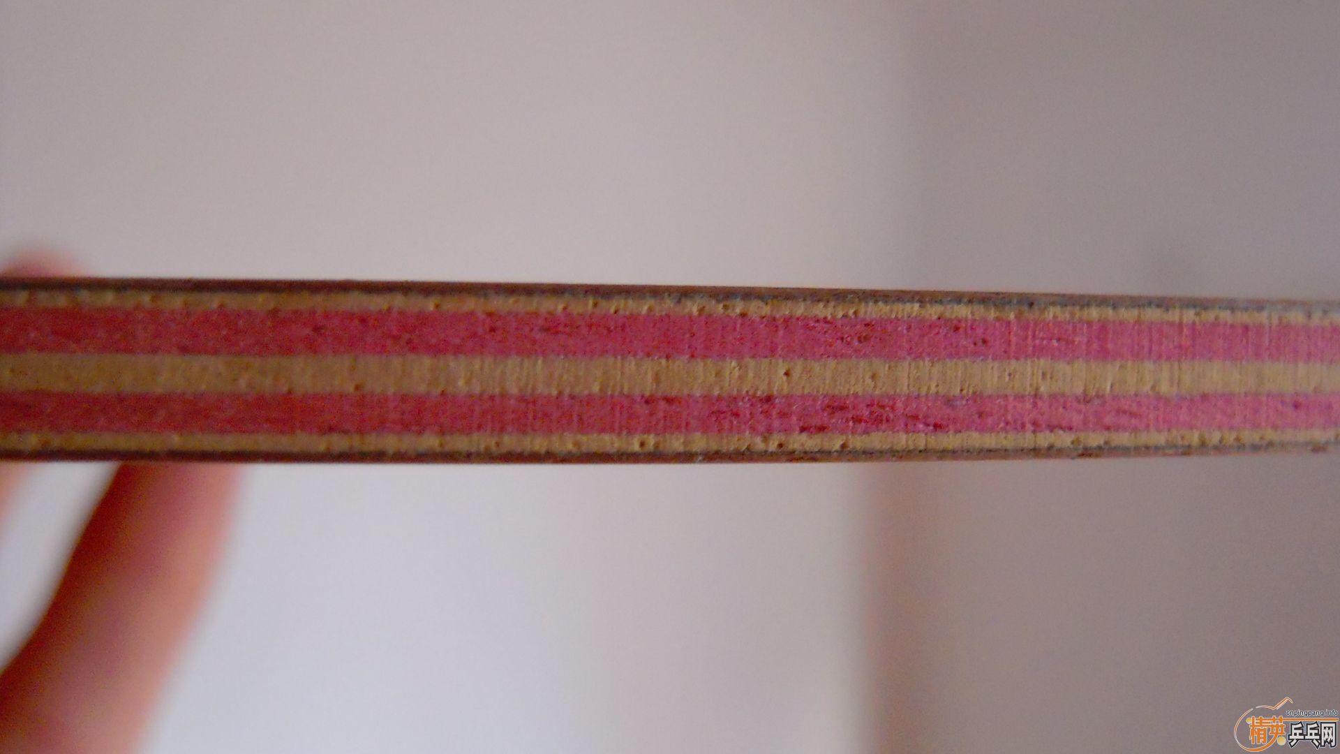 ����95�¹���������ڲ�����FL����96�ˣ�888���ʣ�