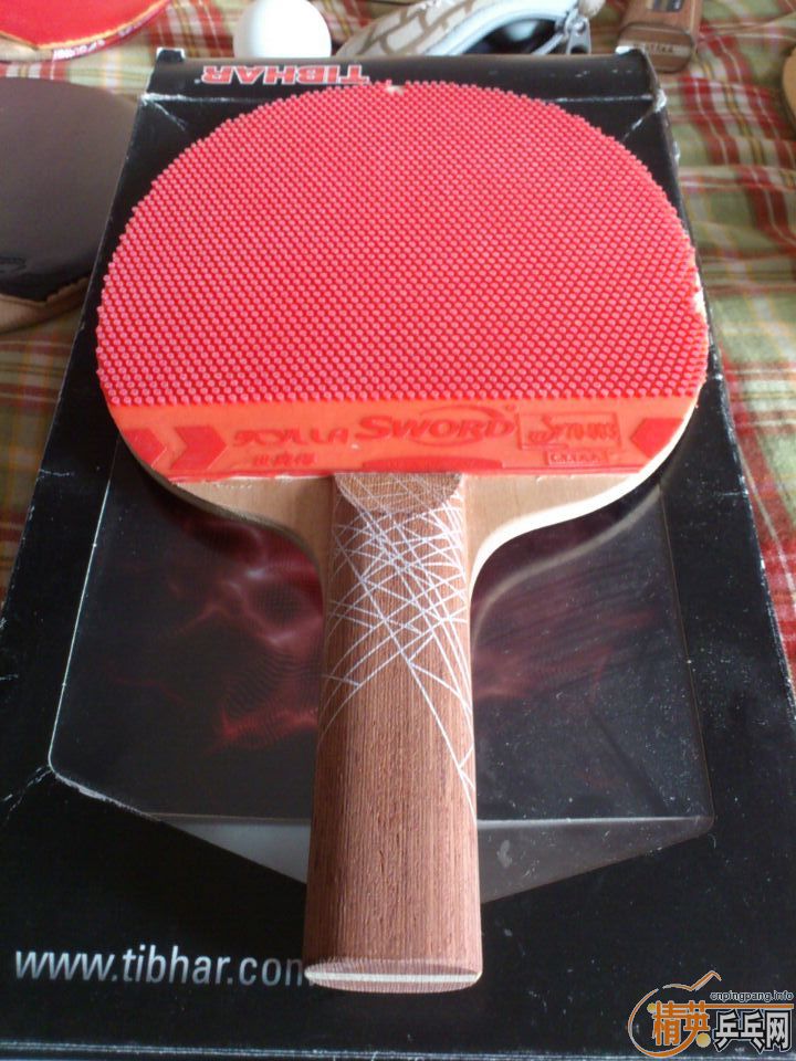 ���� ����