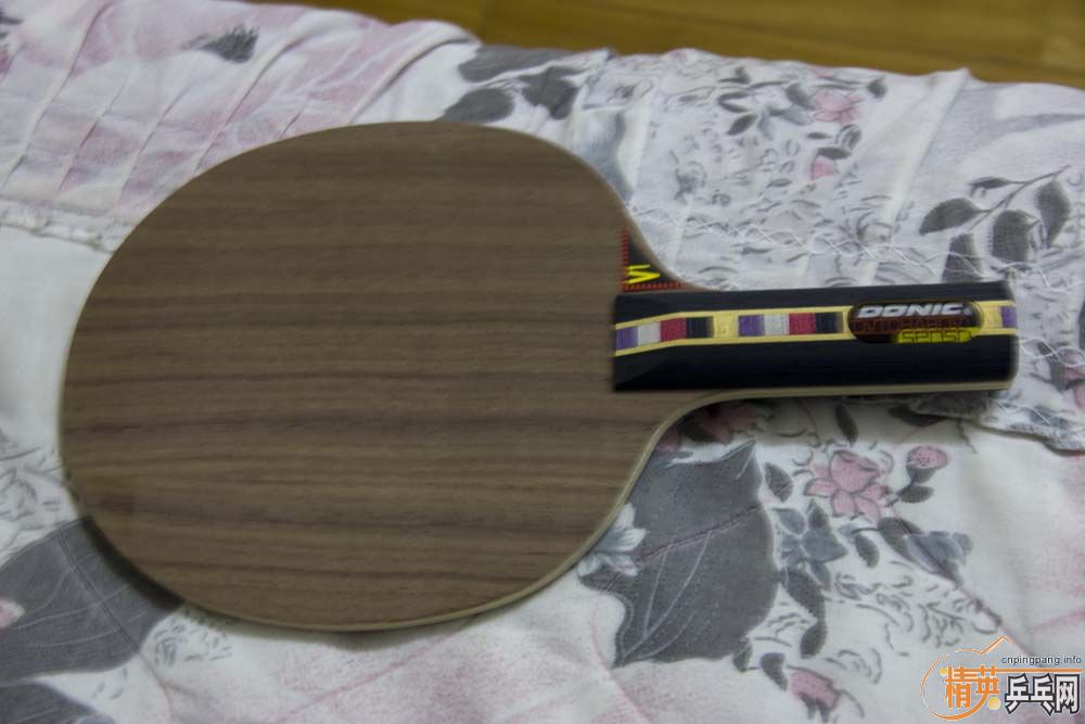 ����ŷ��STõ��5�Լ�VPS������ST��ǡ,֧������������