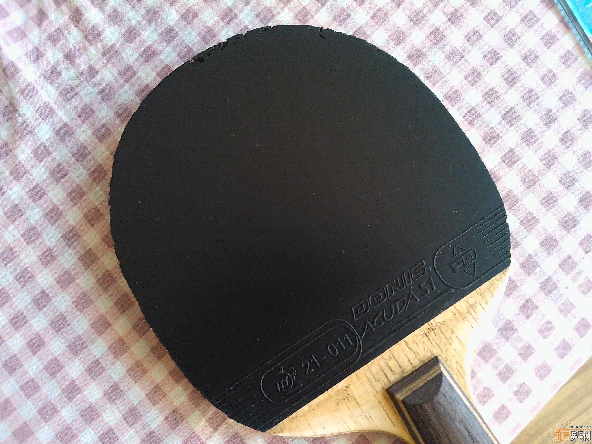 ֱ����-------------------------------------------------------------S1�����漫�ã�80���죩