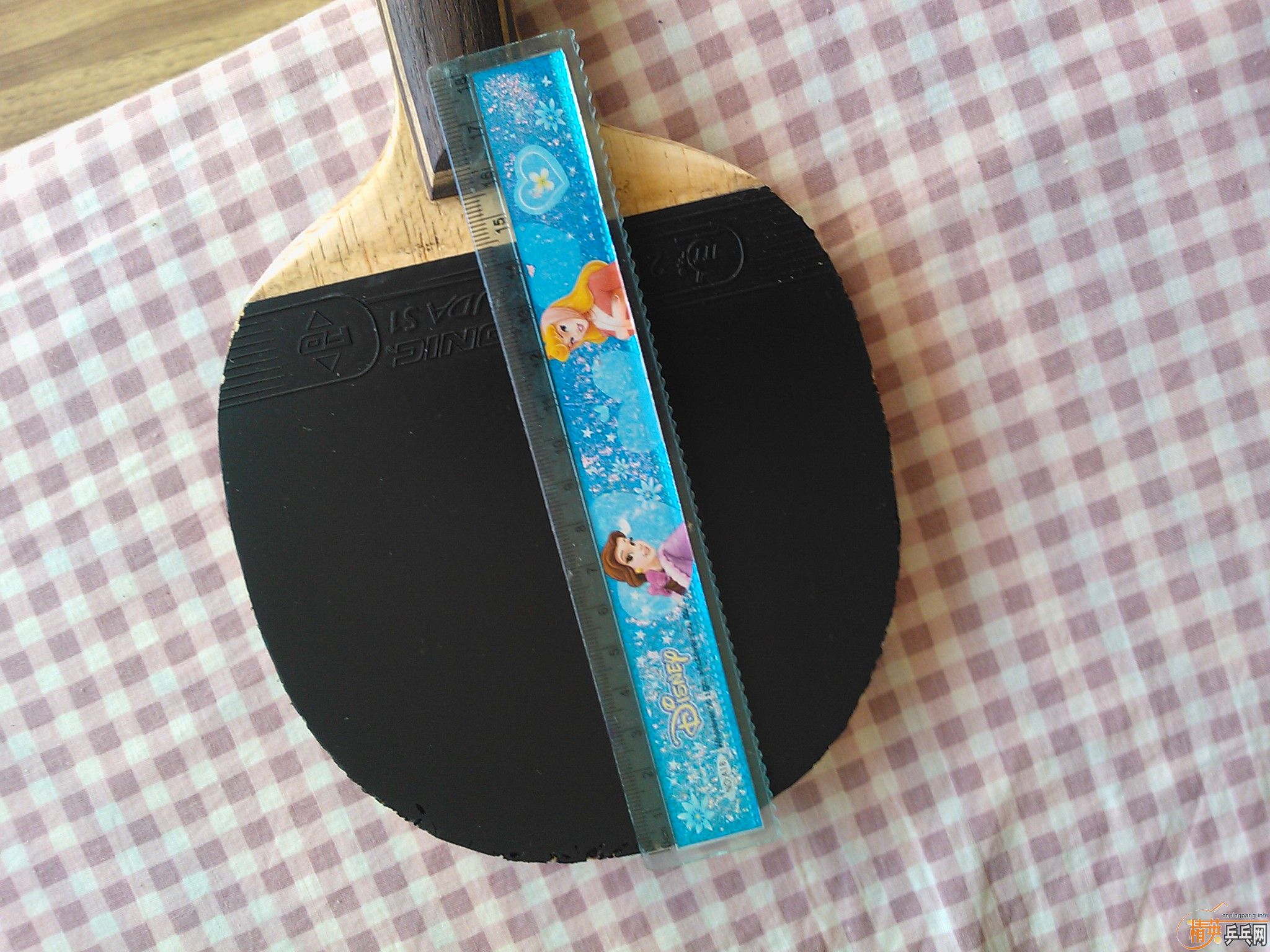 ֱ����-------------------------------------------------------------S1�����漫�ã�80���죩