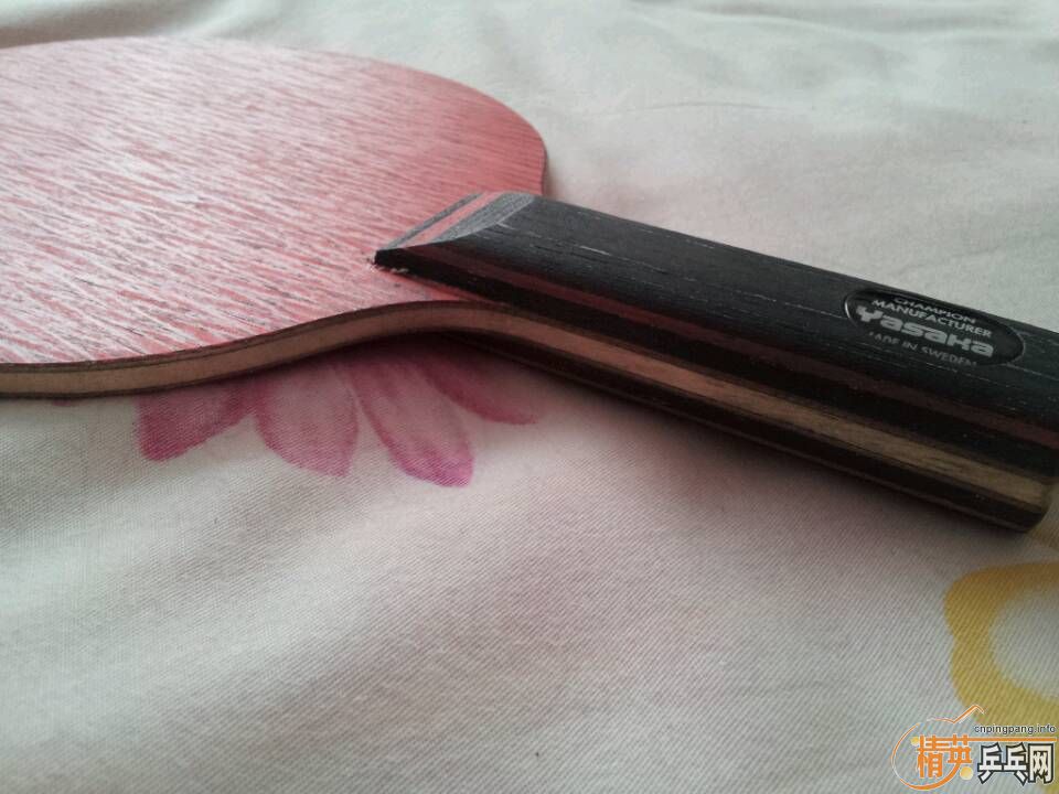 yasaka��̼stһֻ��Ԥ�ۣ�15�Ժ󷢻�